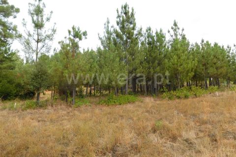 Tomt i Fundao, Castelo Branco, Fundao - € 39 950 | Ref: 255230180 - foto 11