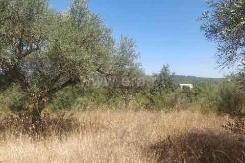 Helårsgrund i Fundao, Castelo Branco, Fundao - € 9.000 | Ref: 255230191 - foto 2