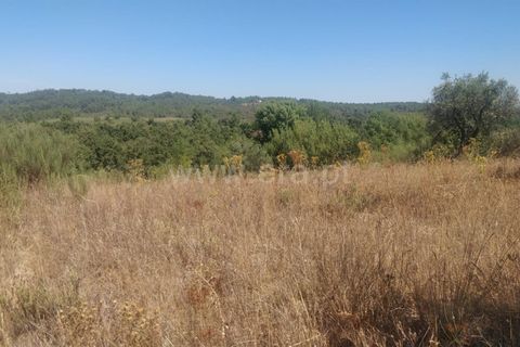 Helårsgrund i Fundao, Castelo Branco, Fundao - € 9.000 | Ref: 255230191 - foto 3