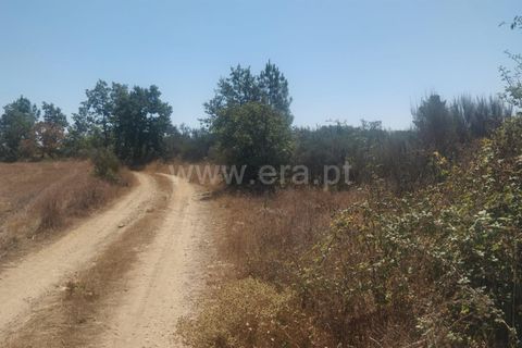 Helårsgrund i Fundao, Castelo Branco, Fundao - € 9.000 | Ref: 255230191 - foto 5