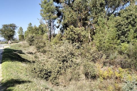 Helårsgrund i Fundao, Castelo Branco, Fundao - € 10.000 | Ref: 255230193 - foto 2