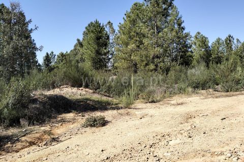 Helårsgrund i Fundao, Castelo Branco, Fundao - € 10.000 | Ref: 255230193 - foto 3