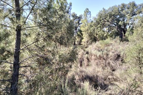 Helårsgrund i Fundao, Castelo Branco, Fundao - € 10.000 | Ref: 255230193 - foto 4