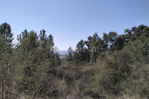 Helårsgrund i Fundao, Castelo Branco, Fundao - € 10.000 | Ref: 255230193 - foto 5