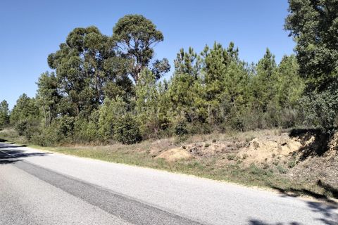 Helårsgrund i Fundao, Castelo Branco, Fundao - € 10.000 | Ref: 255230193 - foto 6