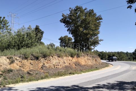Helårsgrund i Fundao, Castelo Branco, Fundao - € 10.000 | Ref: 255230193 - foto 7
