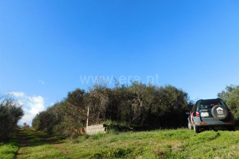 Tomt i Fundao, Castelo Branco, Fundao - € 42 500 | Ref: 255230230 - foto 2