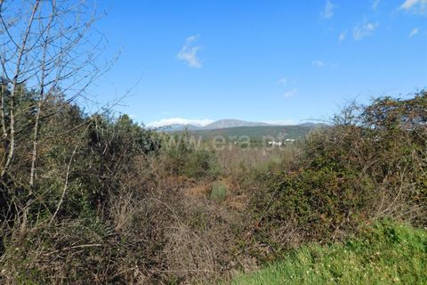 Tomt i Fundao, Castelo Branco, Fundao - € 42 500 | Ref: 255230230 - foto 5