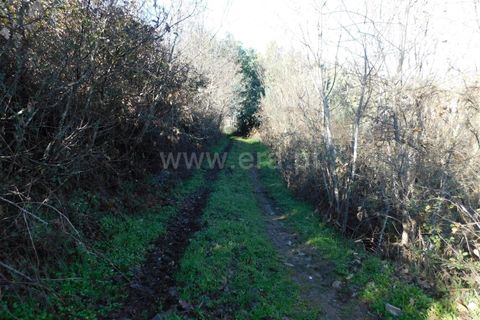 Tomt i Fundao, Castelo Branco, Fundao - € 42 500 | Ref: 255230230 - foto 6