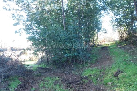 Tomt i Fundao, Castelo Branco, Fundao - € 42 500 | Ref: 255230230 - foto 8