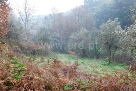 Helårsgrund i Fundao, Castelo Branco, Fundao - € 19.500 | Ref: 255230234 - foto 2