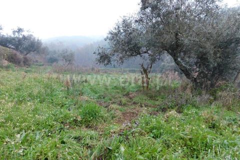 Helårsgrund i Fundao, Castelo Branco, Fundao - € 19.500 | Ref: 255230234 - foto 3