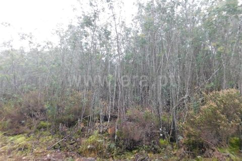 Helårsgrund i Fundao, Castelo Branco, Fundao - € 9.500 | Ref: 255230233 - foto 2