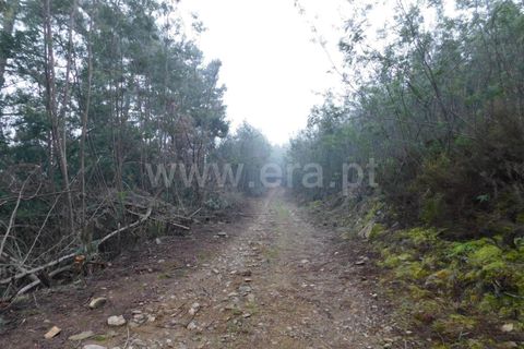 Helårsgrund i Fundao, Castelo Branco, Fundao - € 9.500 | Ref: 255230233 - foto 4