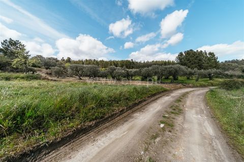 Tomt i Fundao, Castelo Branco, Fundao - € 13 200 | Ref: 255230218 - foto 6