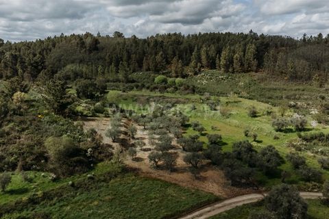 Tomt i Fundao, Castelo Branco, Fundao - € 13 200 | Ref: 255230218 - foto 7