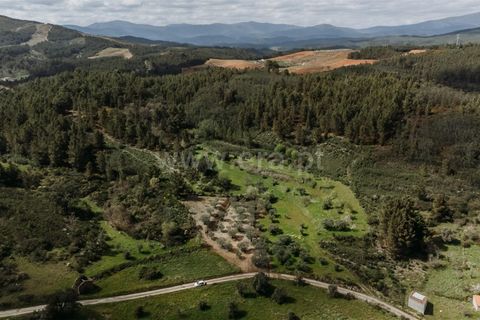 Tomt i Fundao, Castelo Branco, Fundao - € 13 200 | Ref: 255230218 - foto 8