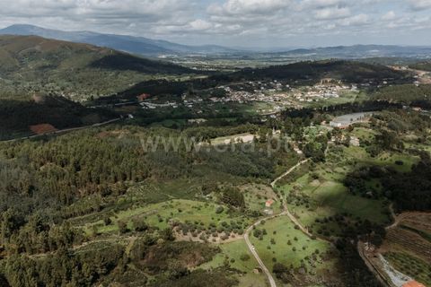 Tomt i Fundao, Castelo Branco, Fundao - € 13 200 | Ref: 255230218 - foto 10