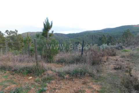 Helårsgrund i Fundao, Castelo Branco, Fundao - € 56.500 | Ref: 255210078 - foto 2