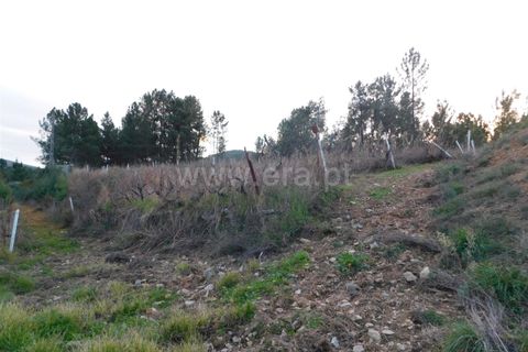 Helårsgrund i Fundao, Castelo Branco, Fundao - € 56.500 | Ref: 255210078 - foto 3