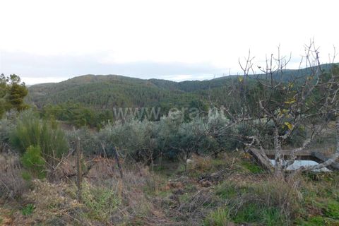 Helårsgrund i Fundao, Castelo Branco, Fundao - € 56.500 | Ref: 255210078 - foto 4