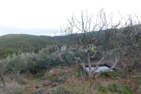 Helårsgrund i Fundao, Castelo Branco, Fundao - € 56.500 | Ref: 255210078 - foto 5