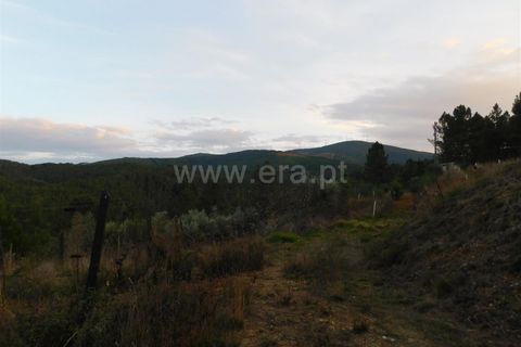 Helårsgrund i Fundao, Castelo Branco, Fundao - € 56.500 | Ref: 255210078 - foto 6