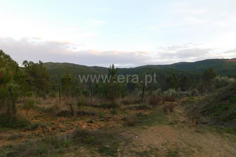 Helårsgrund i Fundao, Castelo Branco, Fundao - € 56.500 | Ref: 255210078 - foto 7