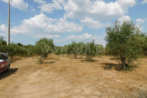 Landejendom i Fundao, Castelo Branco, Fundao - € 56.500 | Ref: 255210112 - foto 2