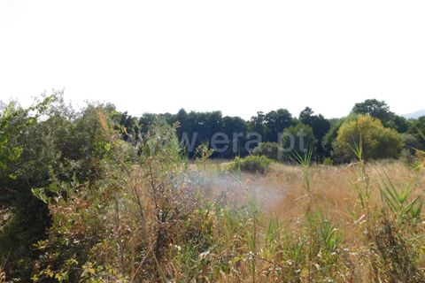 Landejendom i Fundao, Castelo Branco, Fundao - € 56.500 | Ref: 255210112 - foto 3