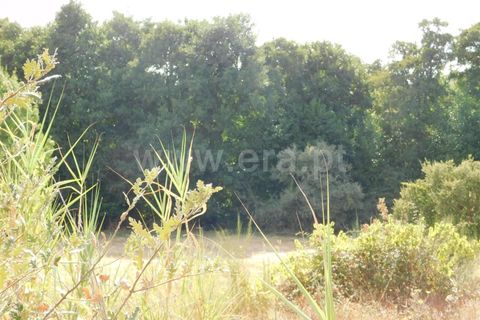 Landejendom i Fundao, Castelo Branco, Fundao - € 56.500 | Ref: 255210112 - foto 4