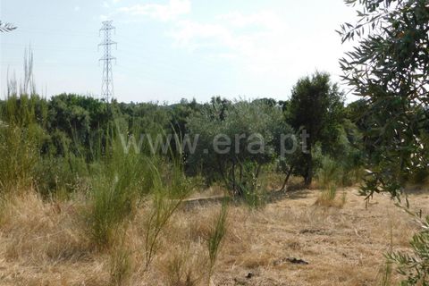Landejendom i Fundao, Castelo Branco, Fundao - € 56.500 | Ref: 255210112 - foto 6