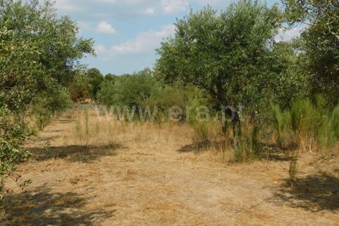 Landejendom i Fundao, Castelo Branco, Fundao - € 56.500 | Ref: 255210112 - foto 7