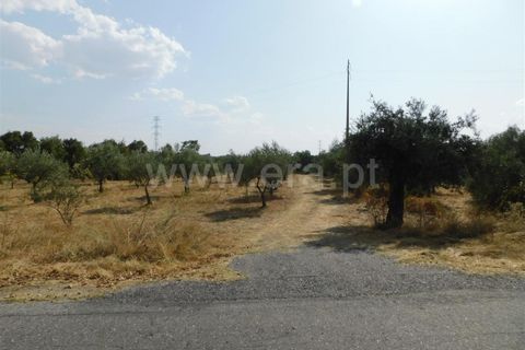 Landejendom i Fundao, Castelo Branco, Fundao - € 56.500 | Ref: 255210112 - foto 8