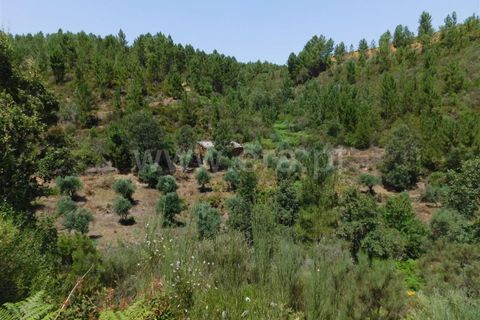 Farm i Fundao, Castelo Branco, Fundao - € 67.500 | Ref: 255230149 - foto 2
