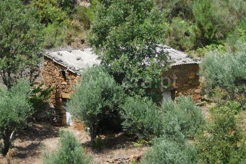 Farm i Fundao, Castelo Branco, Fundao - € 67.500 | Ref: 255230149 - foto 3