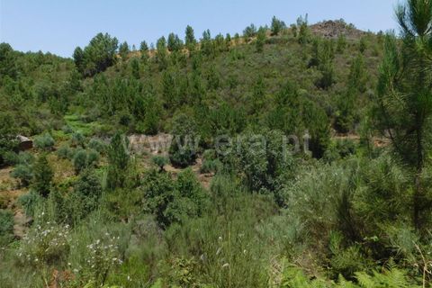 Farm i Fundao, Castelo Branco, Fundao - € 67.500 | Ref: 255230149 - foto 5