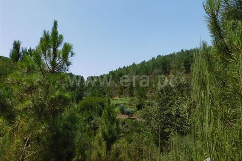 Farm i Fundao, Castelo Branco, Fundao - € 67.500 | Ref: 255230149 - foto 6