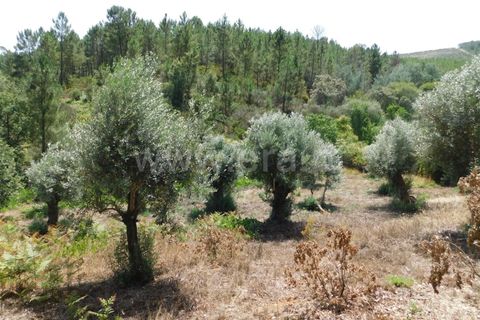 Farm i Fundao, Castelo Branco, Fundao - € 67.500 | Ref: 255230149 - foto 7