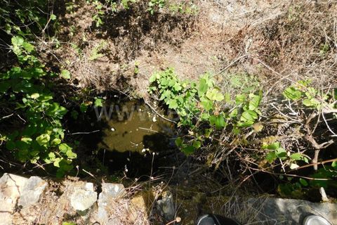 Farm i Fundao, Castelo Branco, Fundao - € 67.500 | Ref: 255230149 - foto 8