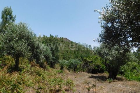 Farm i Fundao, Castelo Branco, Fundao - € 67.500 | Ref: 255230149 - foto 10