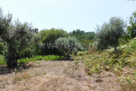 Farm i Fundao, Castelo Branco, Fundao - € 67.500 | Ref: 255230149 - foto 11