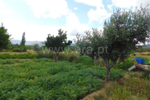 Tomt i Fundao, Castelo Branco, Fundao - € 12 500 | Ref: 255230130 - foto 2