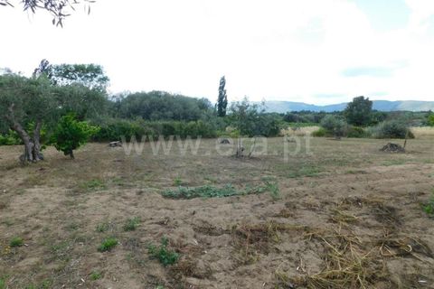 Tomt i Fundao, Castelo Branco, Fundao - € 12 500 | Ref: 255230130 - foto 3