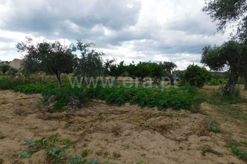 Tomt i Fundao, Castelo Branco, Fundao - € 12 500 | Ref: 255230130 - foto 6