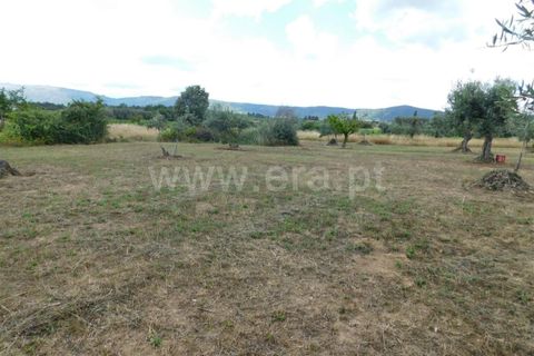 Tomt i Fundao, Castelo Branco, Fundao - € 12 500 | Ref: 255230130 - foto 7