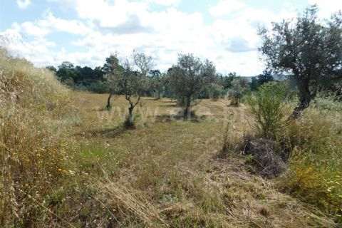 Helårsgrund i Fundao, Castelo Branco, Fundao - € 12.500 | Ref: 255230128 - foto 2