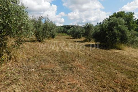 Helårsgrund i Fundao, Castelo Branco, Fundao - € 12.500 | Ref: 255230128 - foto 3