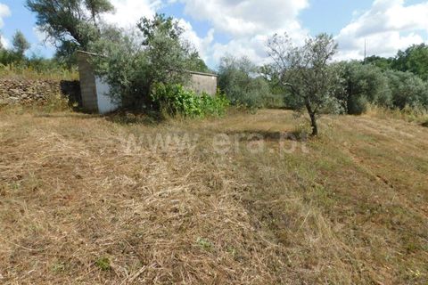 Helårsgrund i Fundao, Castelo Branco, Fundao - € 12.500 | Ref: 255230128 - foto 4
