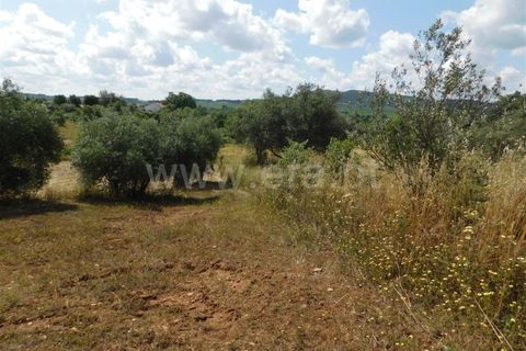 Helårsgrund i Fundao, Castelo Branco, Fundao - € 12.500 | Ref: 255230128 - foto 5